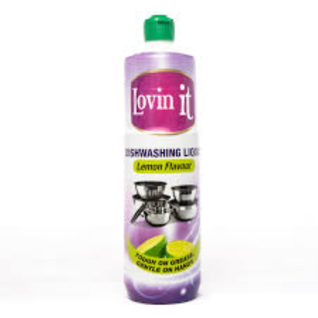 LOVIN IT DISHWASHING LIQUID 1LT